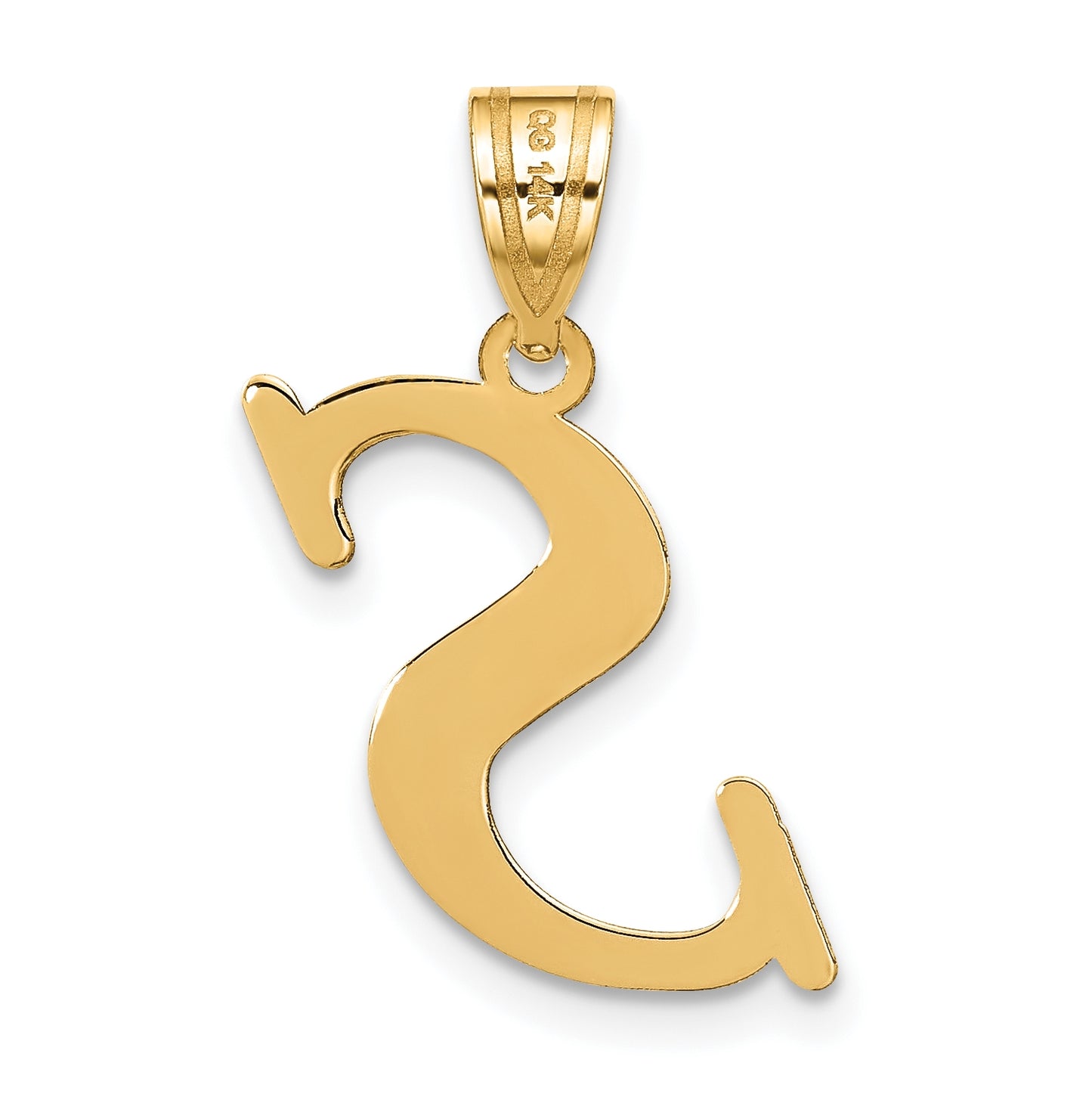 14K Yellow Gold Polished Letter S Initial Pendant