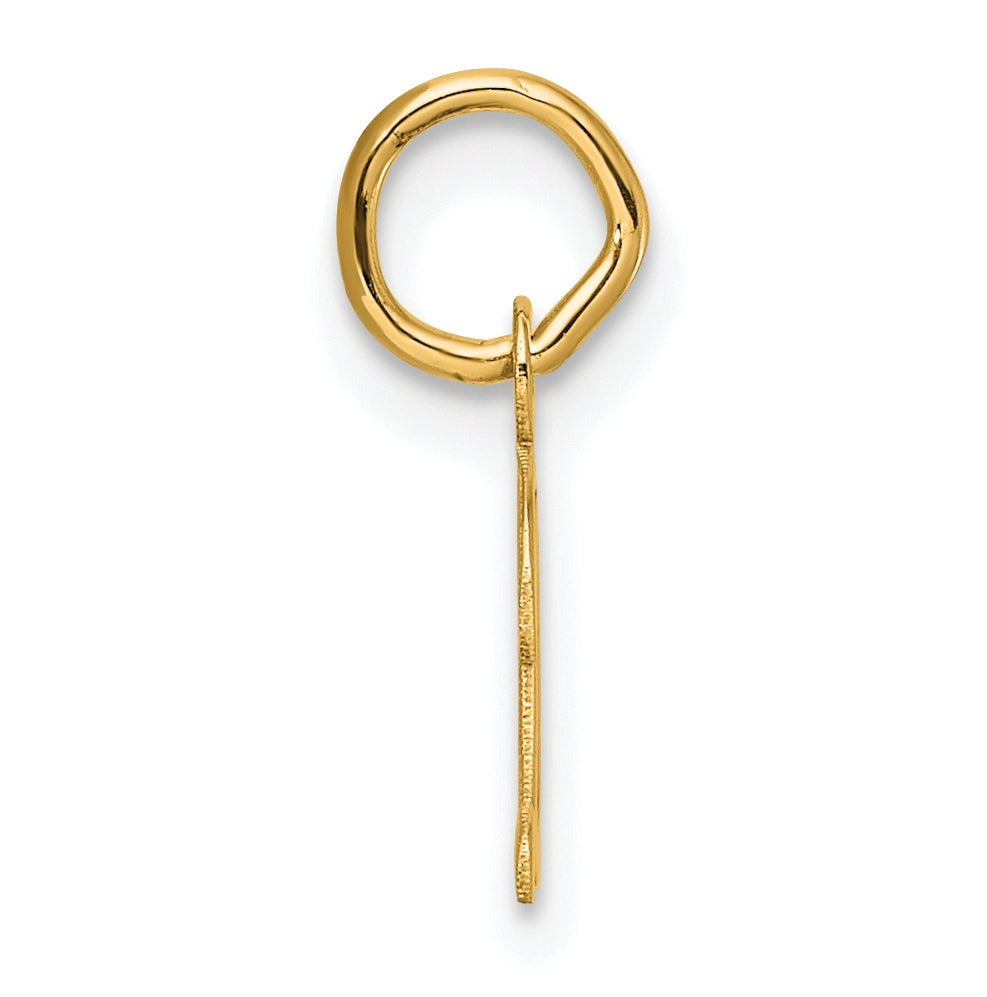 14K Yellow Gold Small Script Letter D Initial Charm