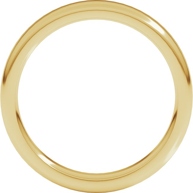 14K Yellow Or White Gold Or Platinum Heavyweight Comfort-Fit Round Edge Flat Band