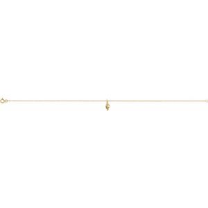 14K Yellow Gold 12 X 4.91 Mm 9 In Polished Shell Anklet