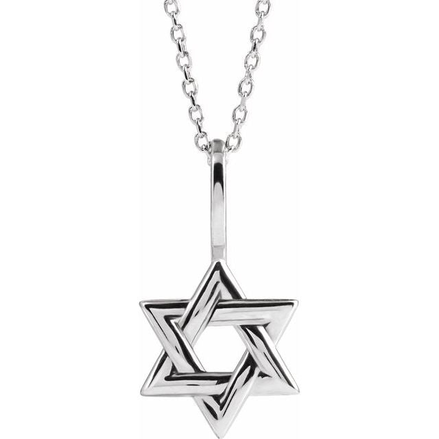 14K White Gold 25.6 X 15.7 Mm 16-18 In Polished Star Of David Necklace