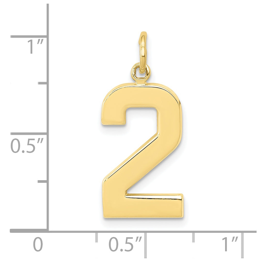 10K Yellow Gold Large Polished Number 2 Charm