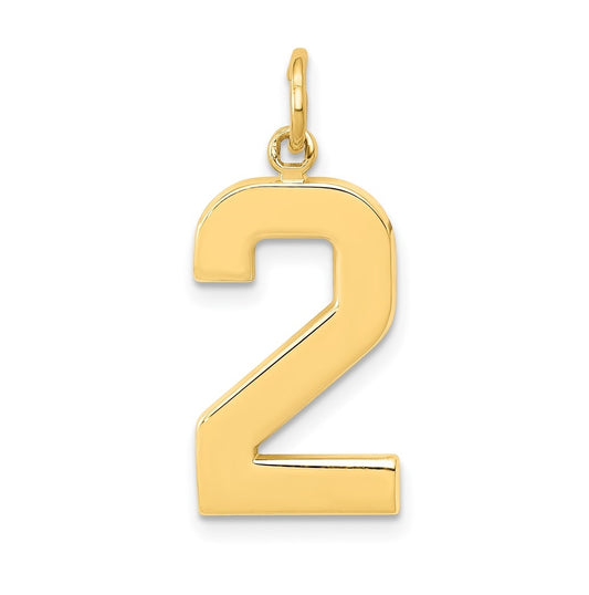 10K Yellow Gold Large Polished Number 2 Charm