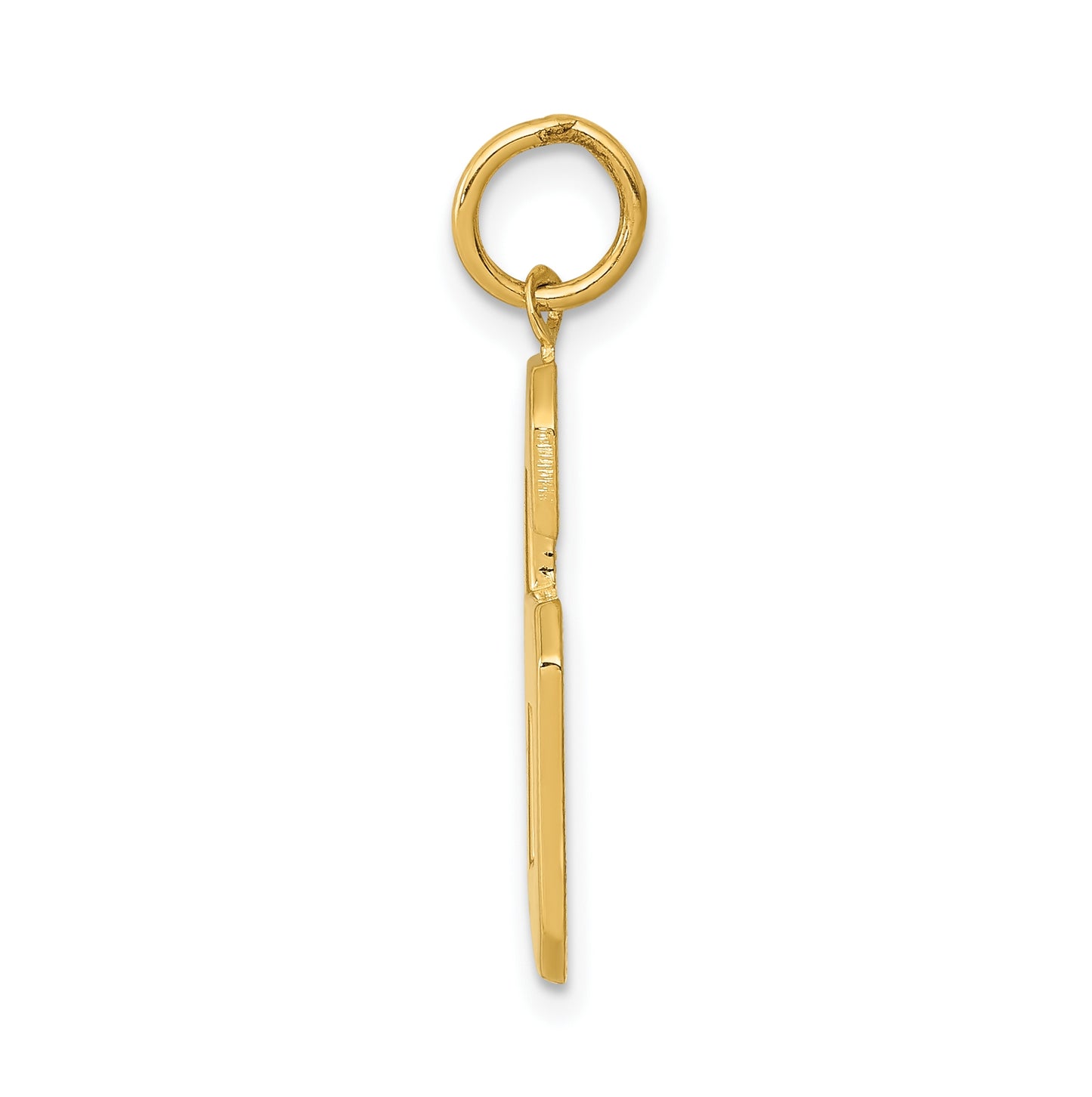 10K Yellow Gold Casted Large Polished Number 6 Charm