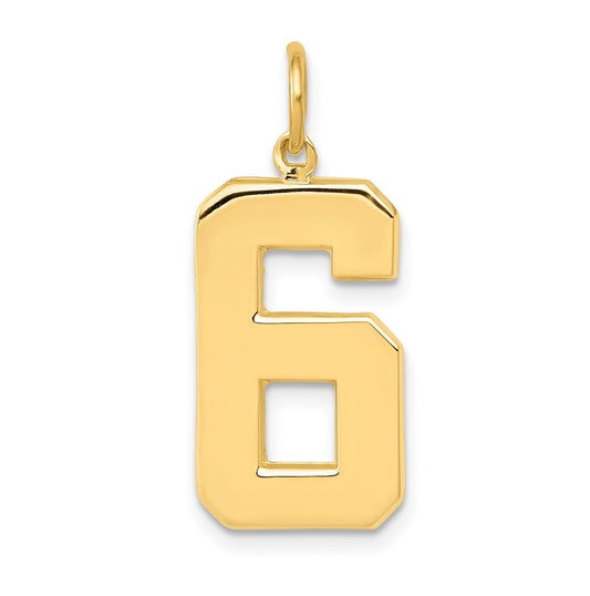 10K Yellow Gold Casted Large Polished Number 6 Charm