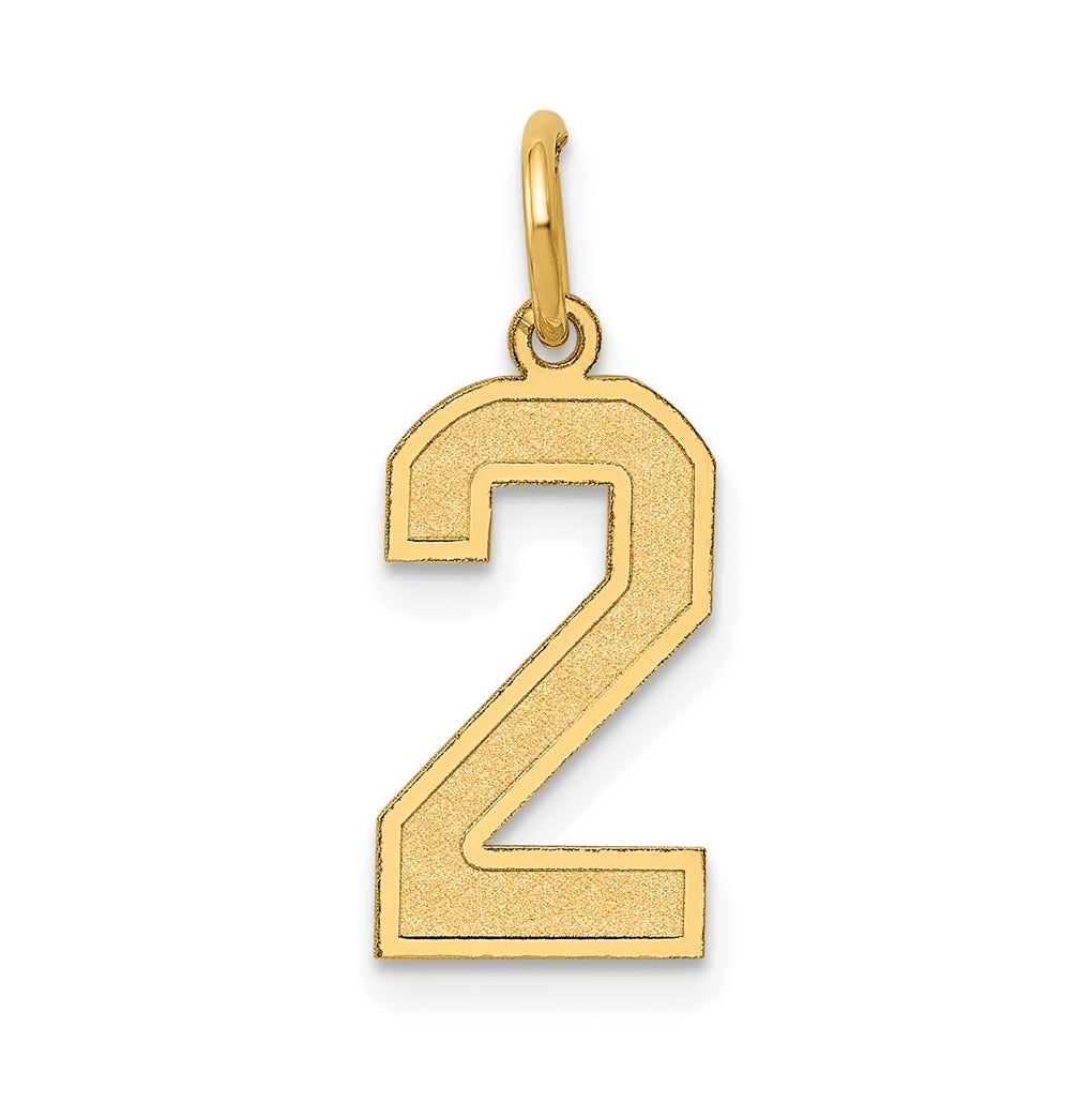 10K Yellow Gold Medium Satin Number 2 Charm