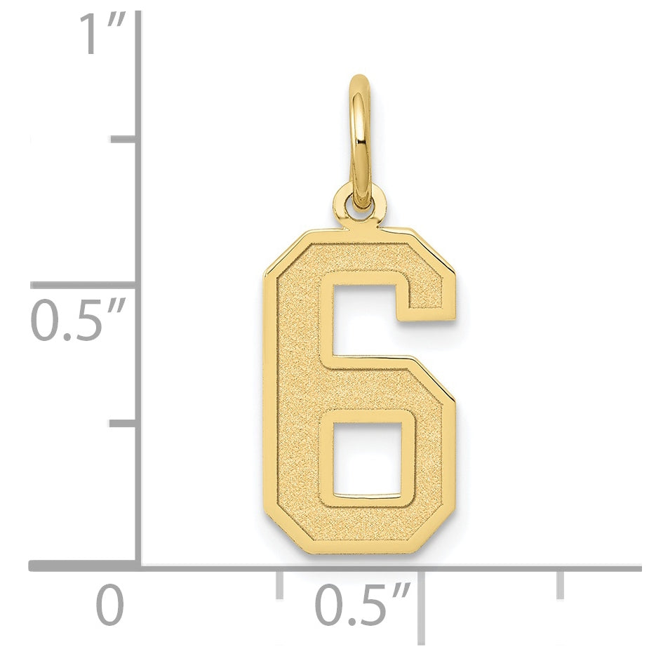 10K Yellow Gold Medium Satin Number 6 Charm