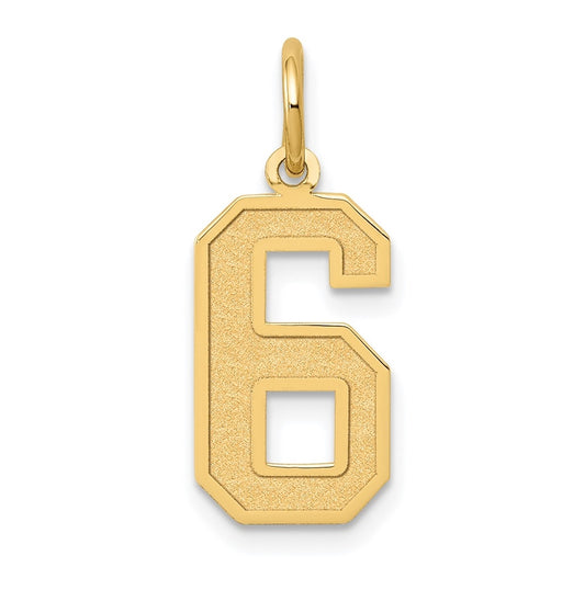 10K Yellow Gold Medium Satin Number 6 Charm
