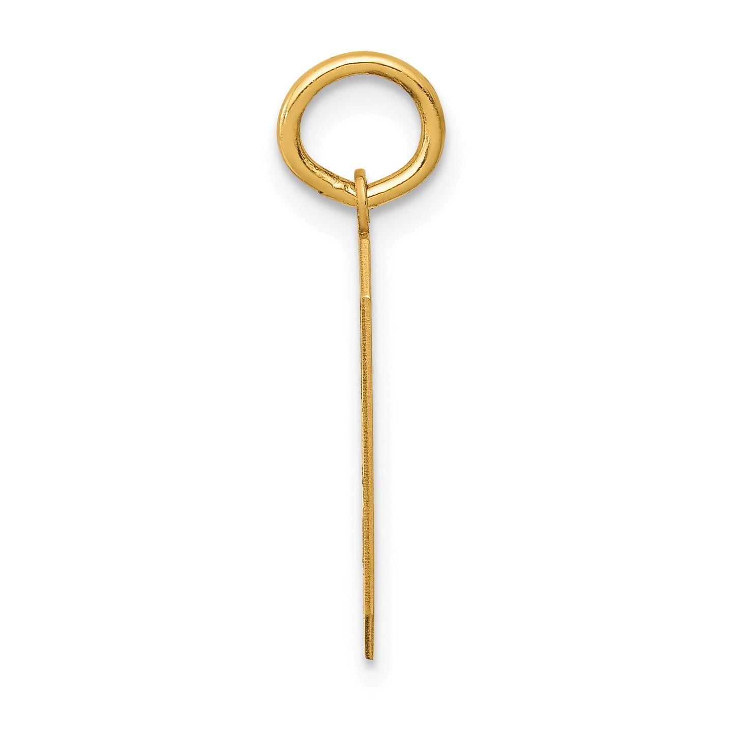 10K Yellow Gold Medium Satin Number 9 Charm