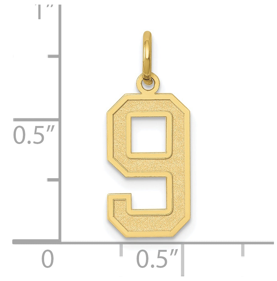 10K Yellow Gold Medium Satin Number 9 Charm