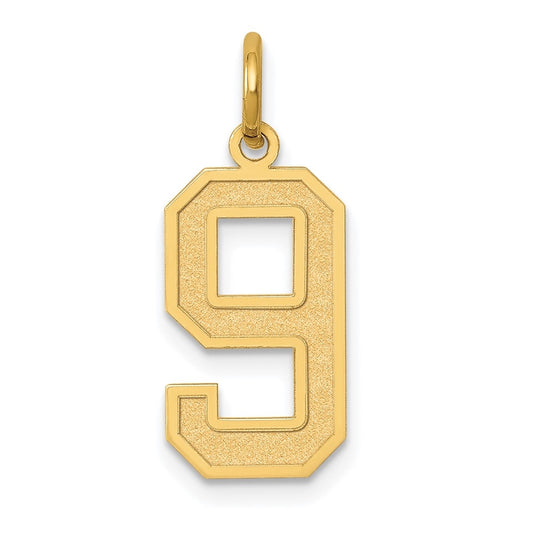 10K Yellow Gold Medium Satin Number 9 Charm