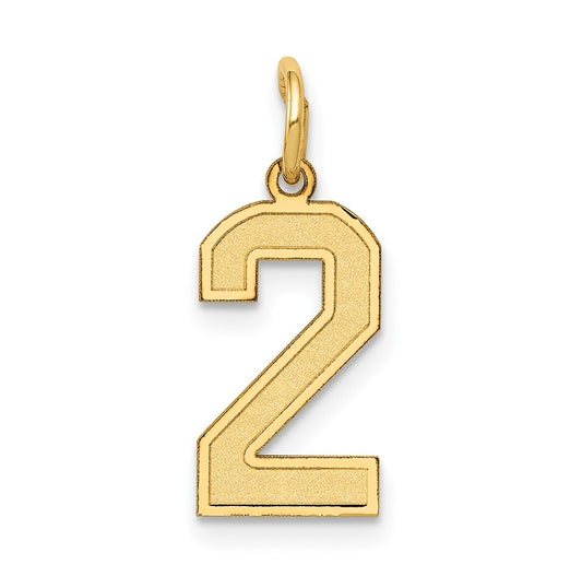 10K Yellow Gold Small Satin Number 2 Charm