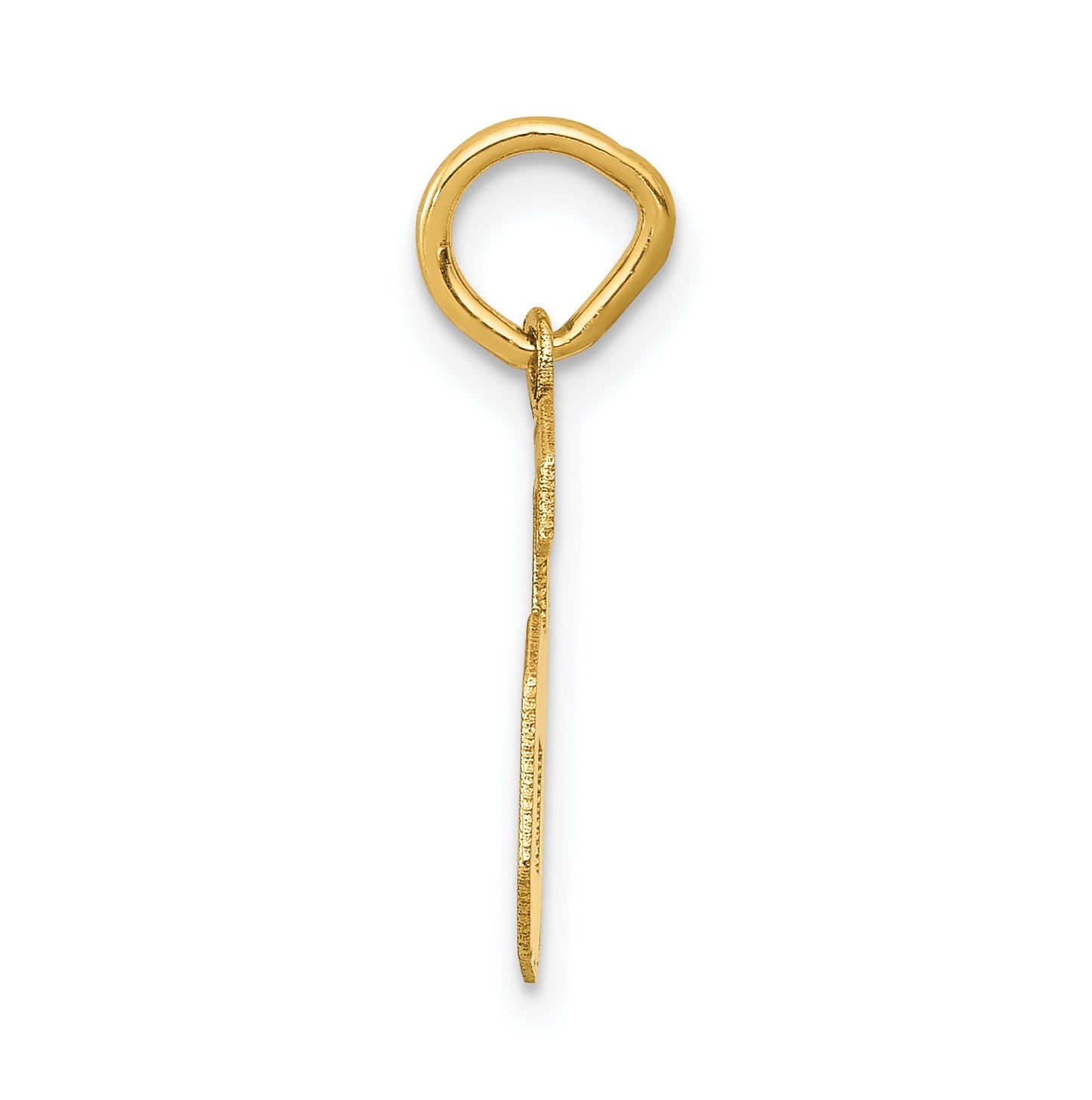 10K Yellow Gold Small Satin Number 6 Charm