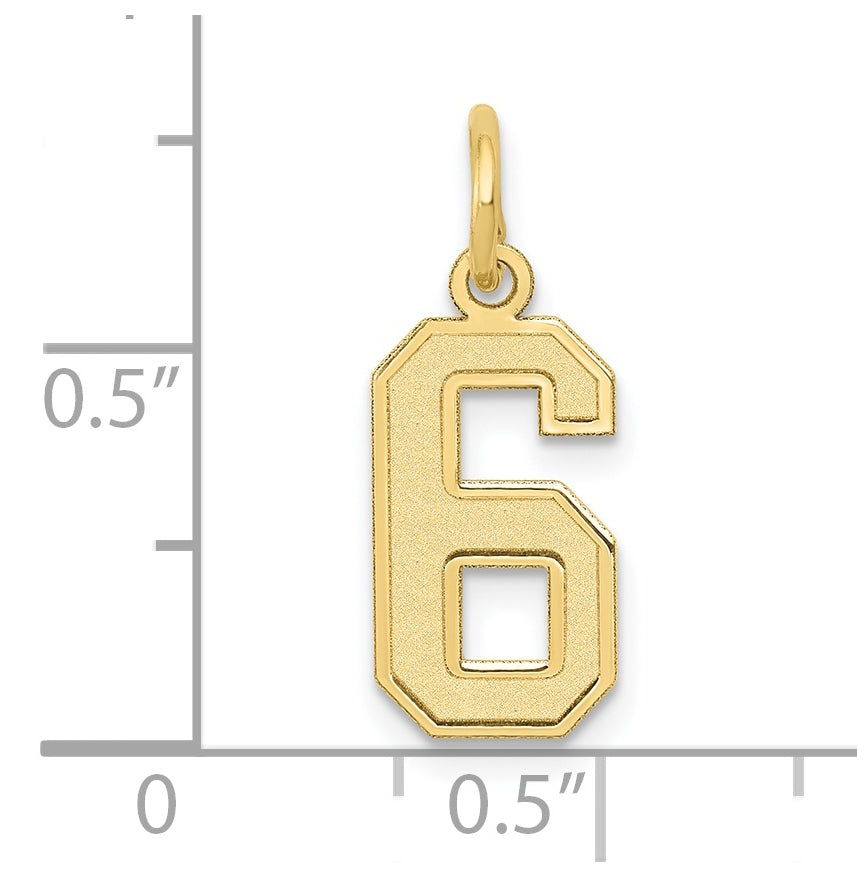 10K Yellow Gold Small Satin Number 6 Charm