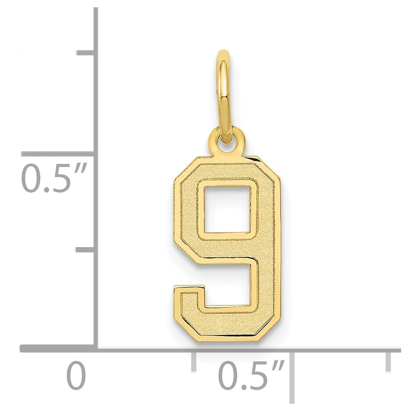 10K Yellow Gold Small Satin Number 9 Charm