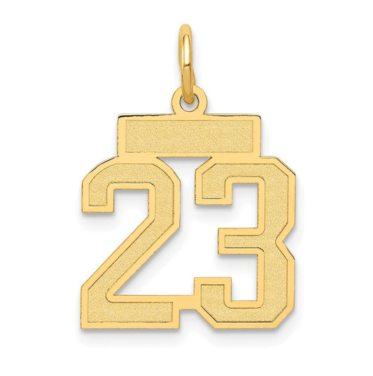 10K Yellow Gold Small Satin Number 23 Charm