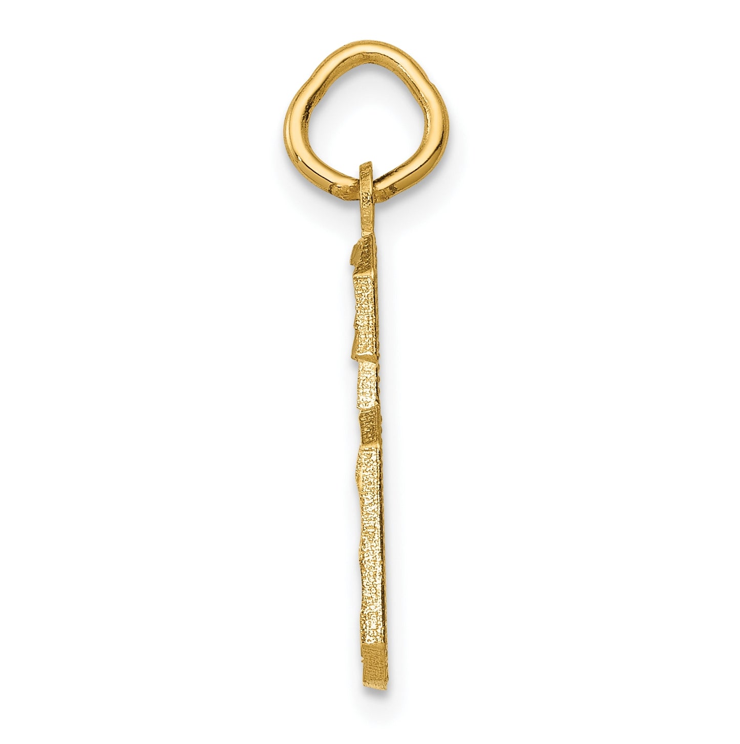 10K Yellow Gold Casted Medium Diamond-cut Number 6 Charm