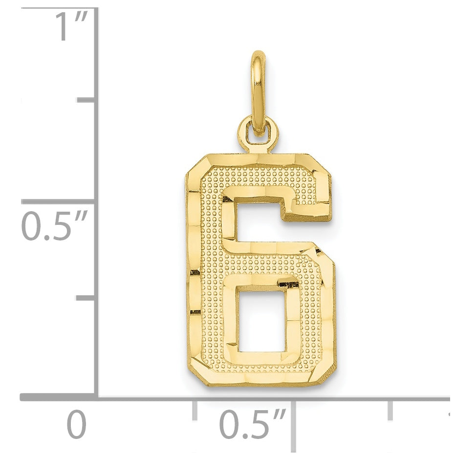 10K Yellow Gold Casted Medium Diamond-cut Number 6 Charm