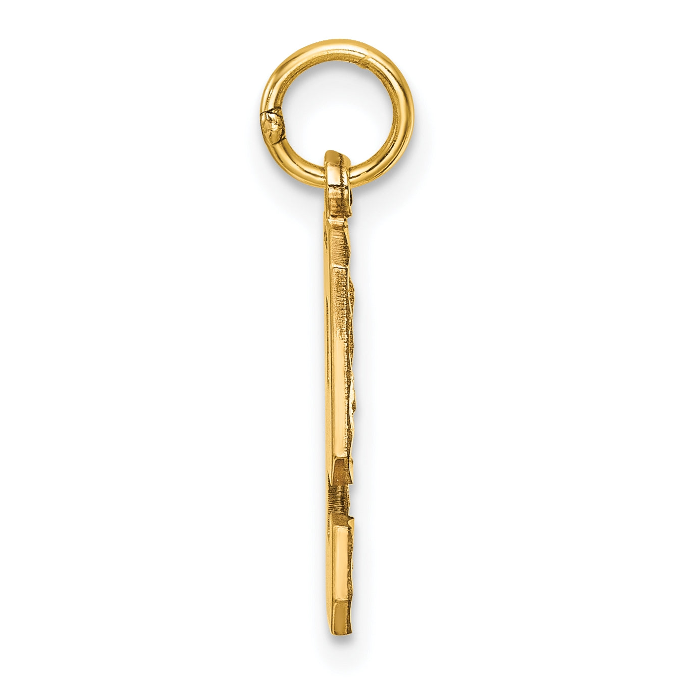 10K Yellow Gold Casted Medium Diamond-cut Number 9 Charm