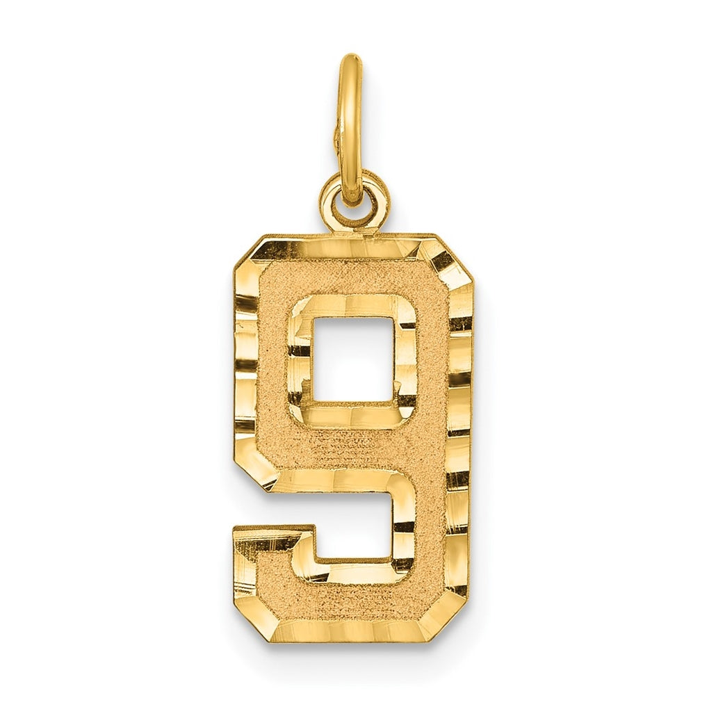 10K Yellow Gold Casted Medium Diamond-cut Number 9 Charm