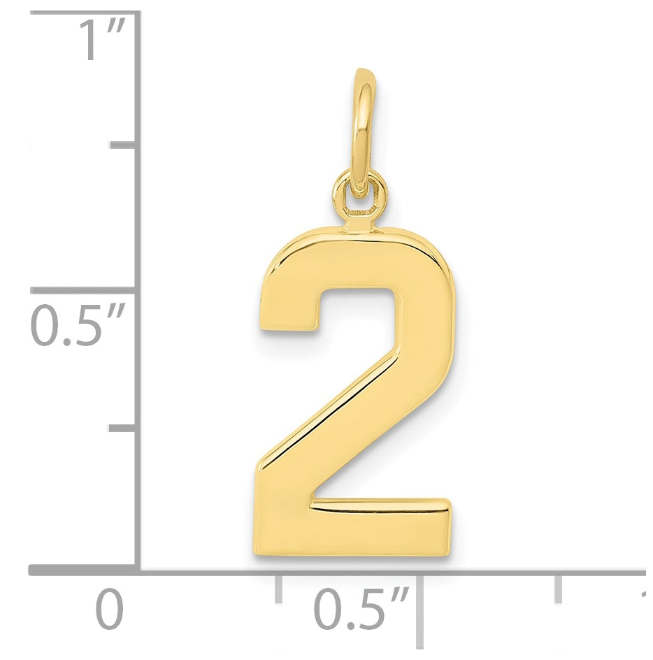 10K Yellow Gold Casted Medium Polished Number 2 Charm