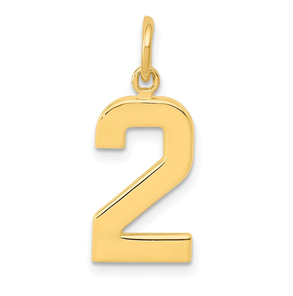 10K Yellow Gold Casted Medium Polished Number 2 Charm