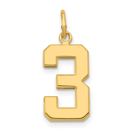 10K Yellow Gold Casted Medium Polished Number 3 Charm