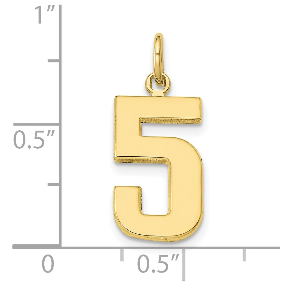 10K Yellow Gold Casted Medium Polished Number 5 Charm