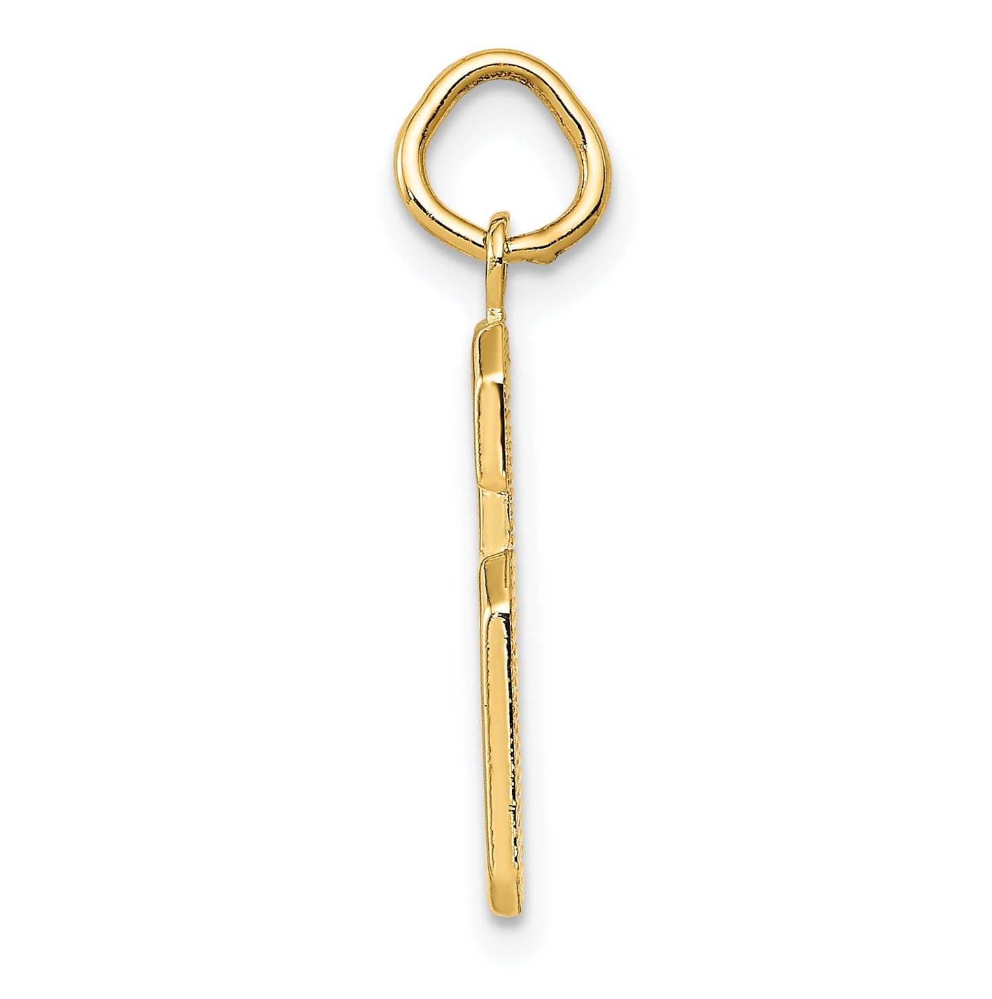 10K Yellow Gold Casted Medium Polished Number 6 Charm