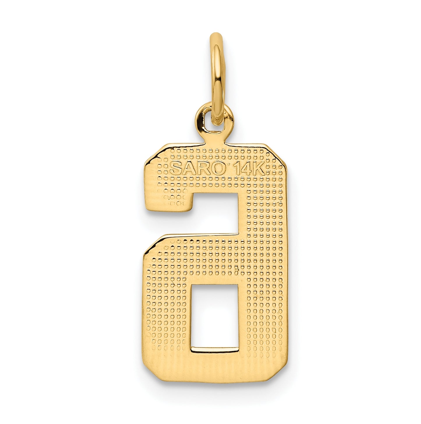 10K Yellow Gold Casted Medium Polished Number 6 Charm