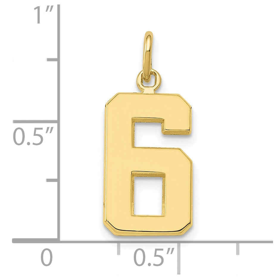 10K Yellow Gold Casted Medium Polished Number 6 Charm