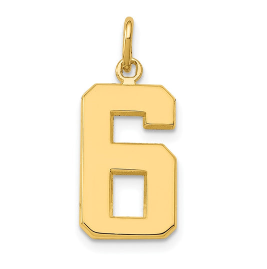 10K Yellow Gold Casted Medium Polished Number 6 Charm