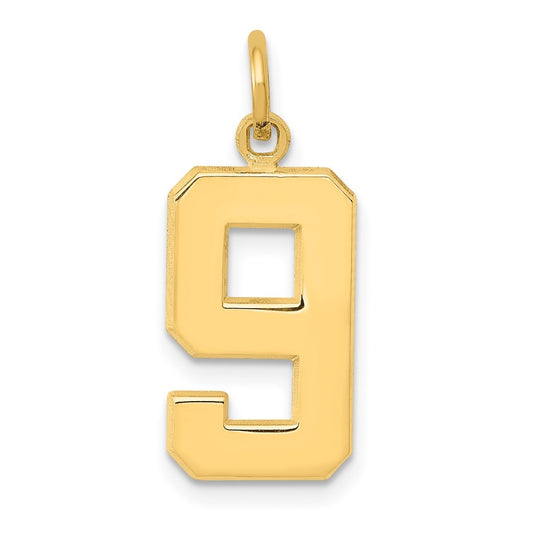 10K Yellow Gold Casted Medium Polished Number 9 Charm