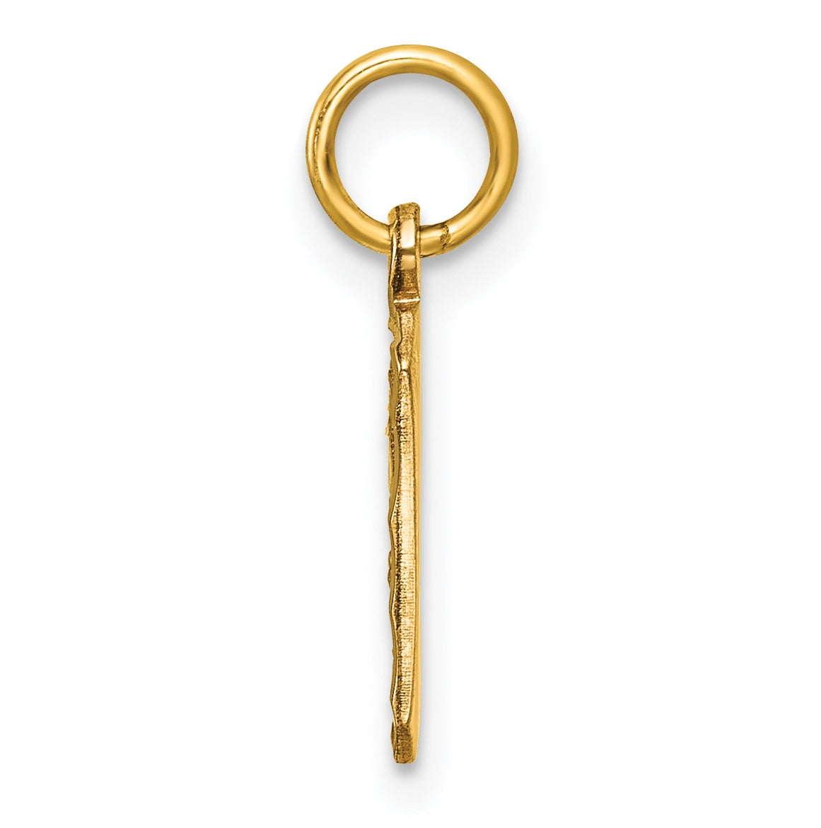 10K Yellow Gold Casted Small Diamond-cut Number 9 Charm