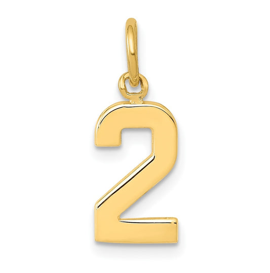 10K Yellow Gold Casted Small Polished Number 2 Charm