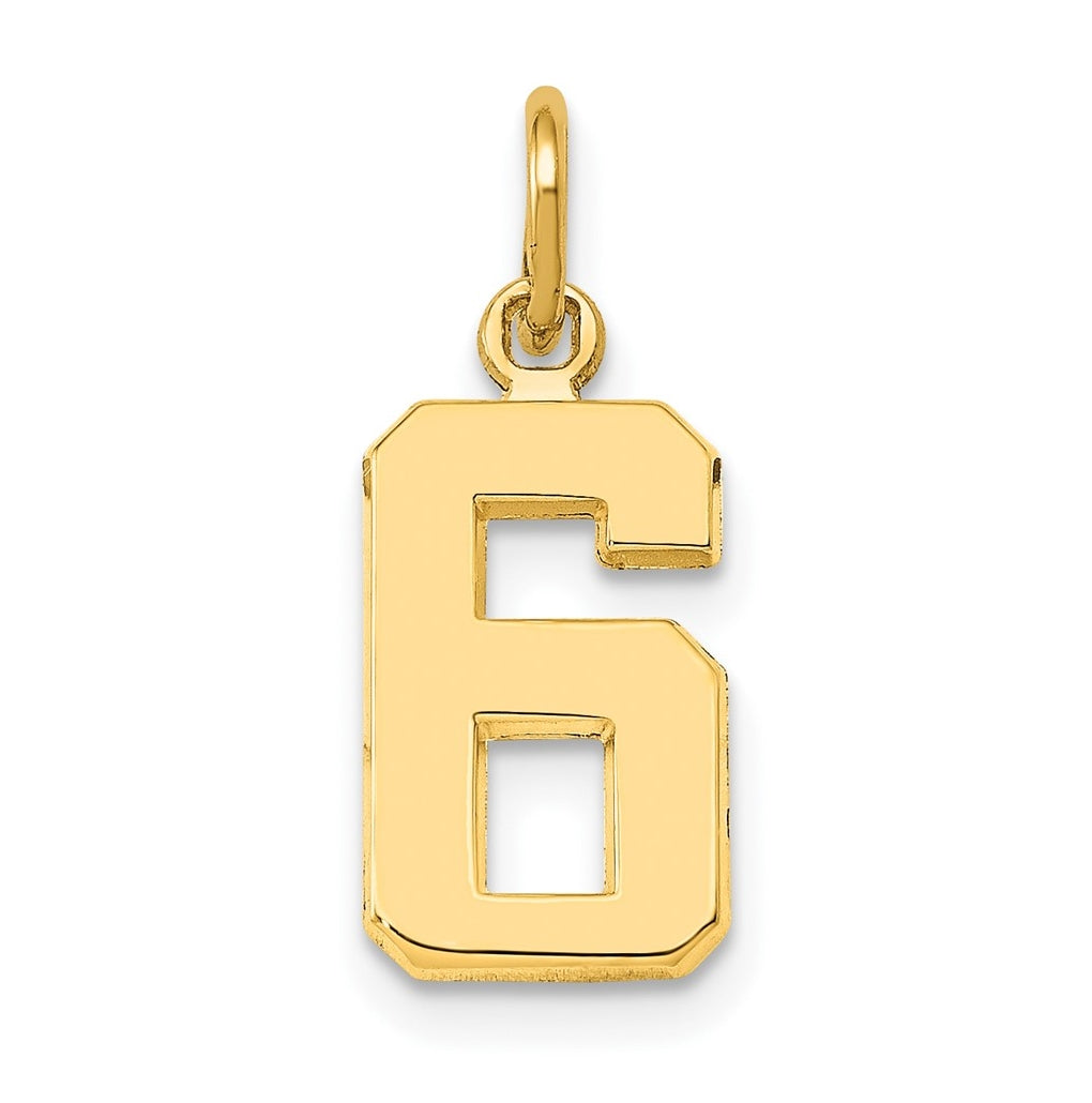 10K Yellow Gold Casted Small Polished Number 6 Charm