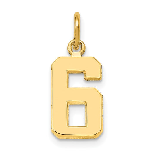 10K Yellow Gold Casted Small Polished Number 6 Charm