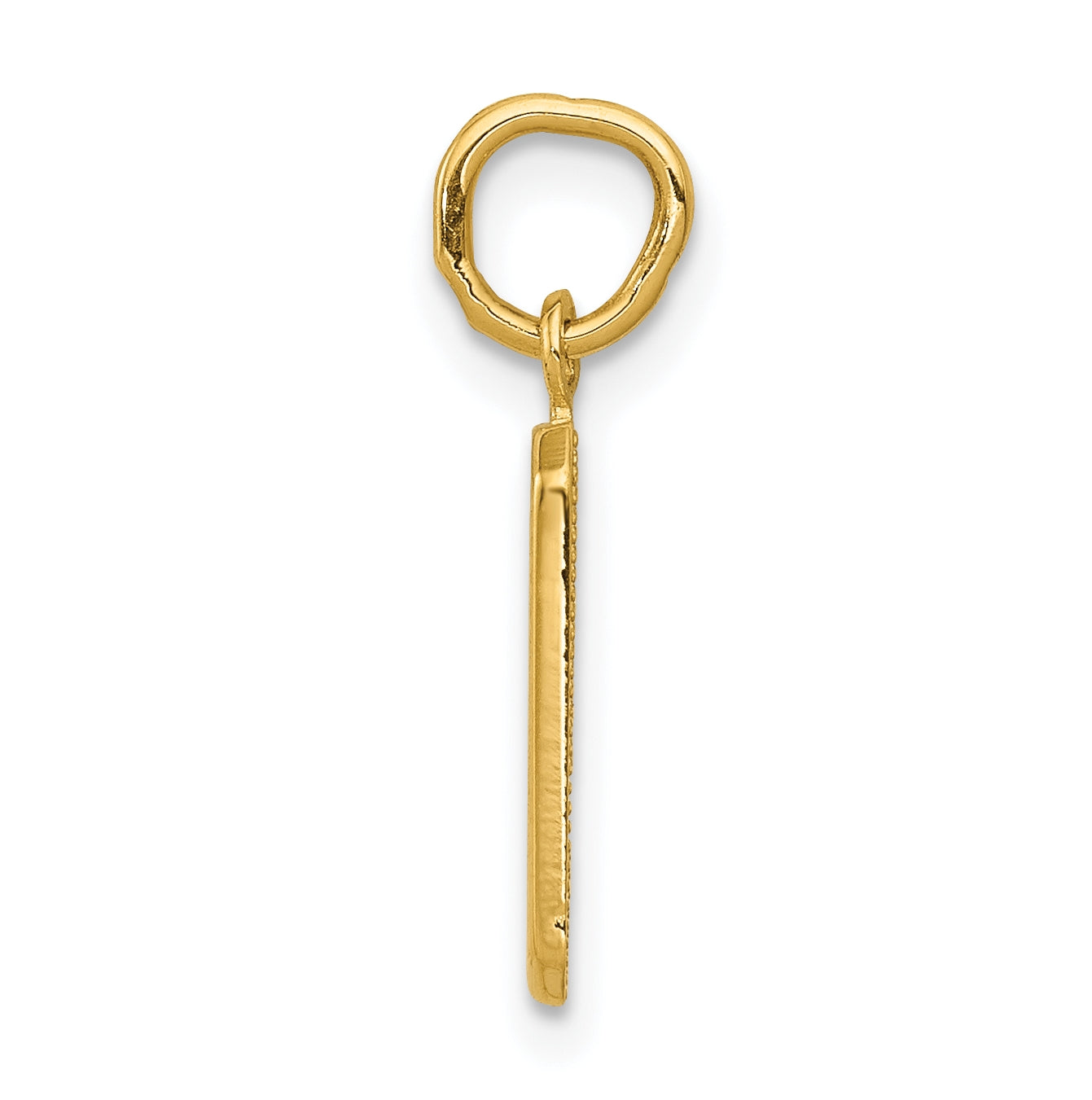 10K Yellow Gold Casted Small Polished Number 9 Charm