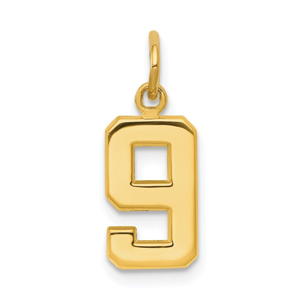10K Yellow Gold Casted Small Polished Number 9 Charm