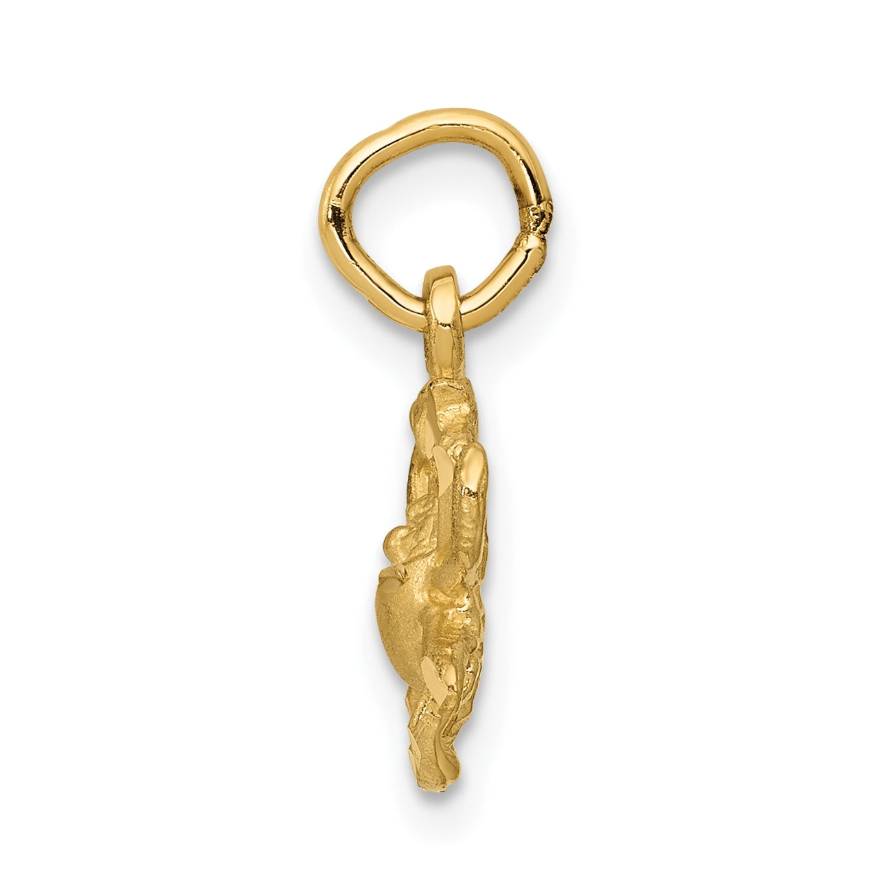 10K Yellow Gold Cancer Zodiac Charm