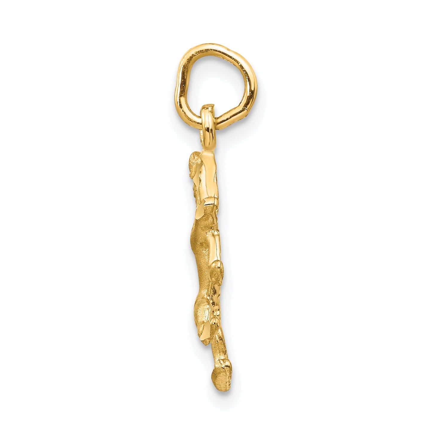 10K Yellow Gold Leo Zodiac-Charm