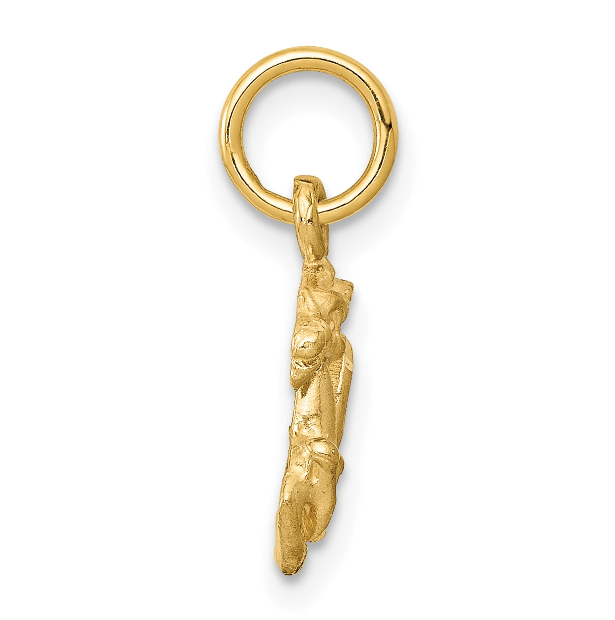 10K Yellow Gold Capricorn Zodiac-Charm