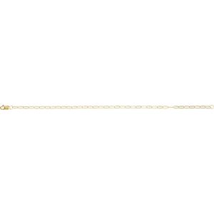 10K Yellow Or White Or Rose Gold 2.1 mm Lobster Clasp Paperclip-Style 7" Chain