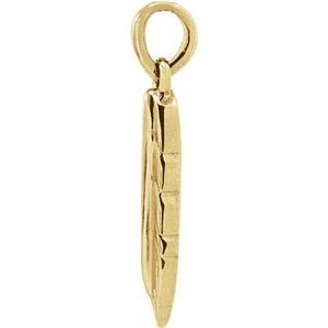 14K Yellow Gold 19.39 X 3.87 Mm Polished Feather Pendant