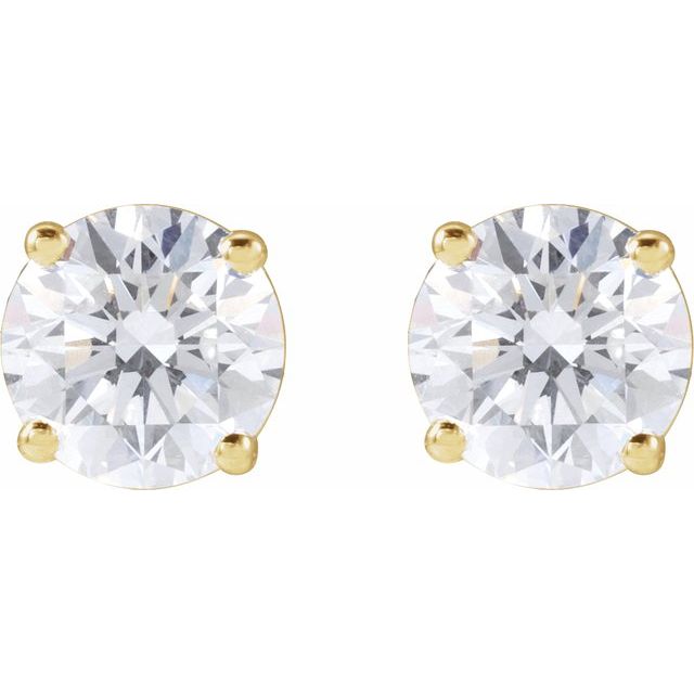 14K Yellow Or White Or Rose Gold Round VS, F+ Friction 4-Prong Polished Lab-Grown Diamond Stud Earrings