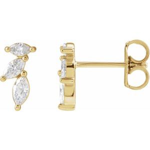 14K Yellow Gold Marquise 4 X 2 Mm 1/3 Ctw Natural Diamond Nature-Inspired Earrings
