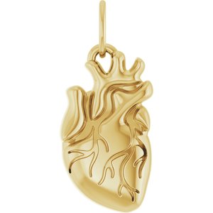 14K Yellow Gold 15.7 X 6.9 Mm Polished Anatomical Heart Pendant