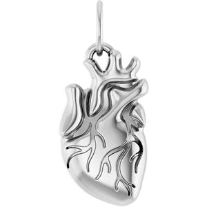 Sterling Silver 15.7 X 6.9 Mm Polished Anatomical Heart Pendant