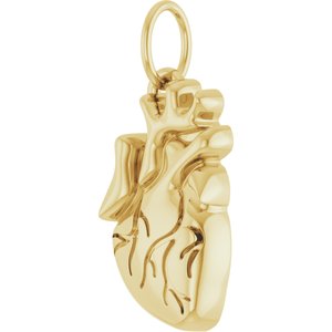 14K Yellow Gold 15.7 X 6.9 Mm Polished Anatomical Heart Pendant