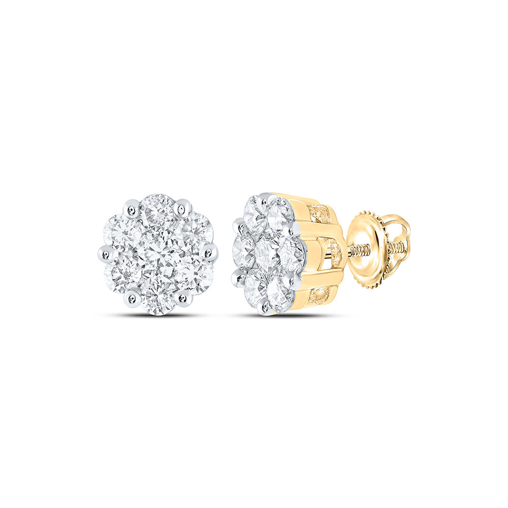 14K White Or Yellow Gold Womens Round Diamond Flower Cluster Earrings
